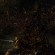 Image for article titled New Demon Souls Screens Arrive Just In Time